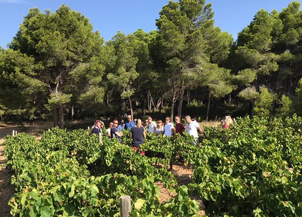 fascinant-week-end-vignobles-et-decouvertes-2020-3 Sentier gourmand dans les vignes de Gruissan