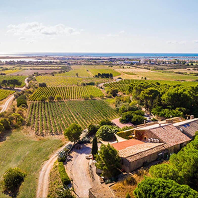 domaine_chateau_le_bouis domaine_chateau_le_bouis