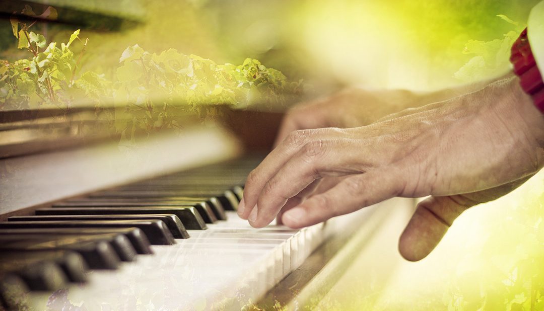 Ma vigne en musique