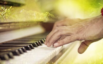 Ma vigne en musique