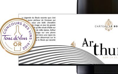 Troisième Médaille d’OR pour la Cuvée Arthur du Château le Bouïs – Concours Terre de Vins