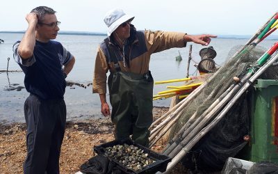 Soirée « Effet Mer » au Château le Bouïs
