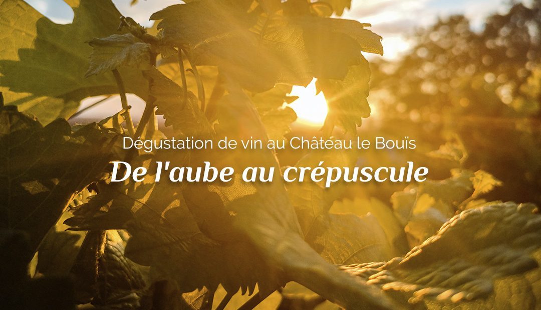 Dégustation de vin au Château le Bouïs : de l&rsquo;aube au crépuscule