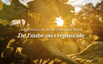 Dégustation de vin au Château le Bouïs : de l’aube au crépuscule