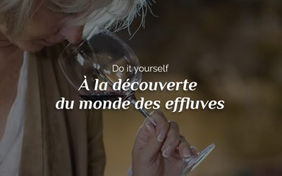 Do It Yourself : à la découverte du monde des effluves