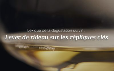 Lexique de la dégustation du vin : Lever de rideau sur les répliques clés