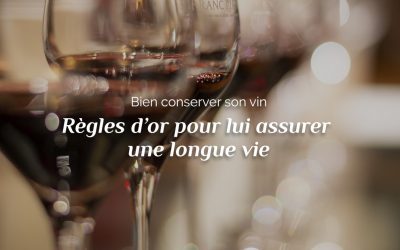 Bien conserver son vin : règles d’or pour lui assurer une longue vie