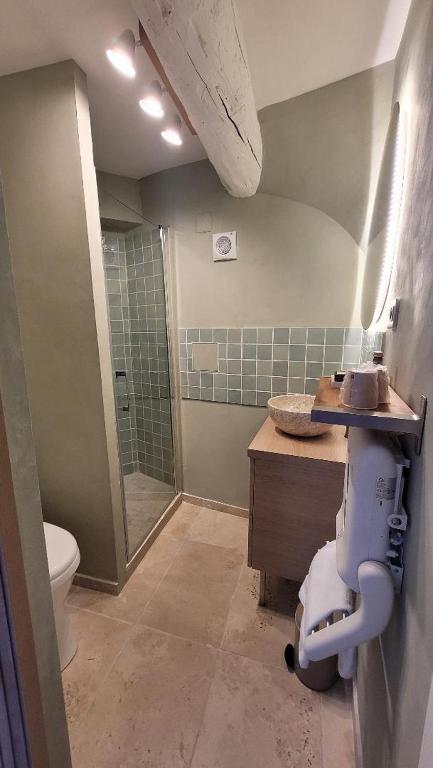 CHAMBRE VIGNERON VUE SALLE D EAU